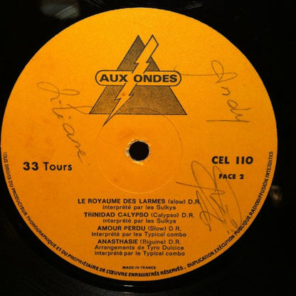 Various : Surprise Partie - "Hits Célini" (LP, Album)