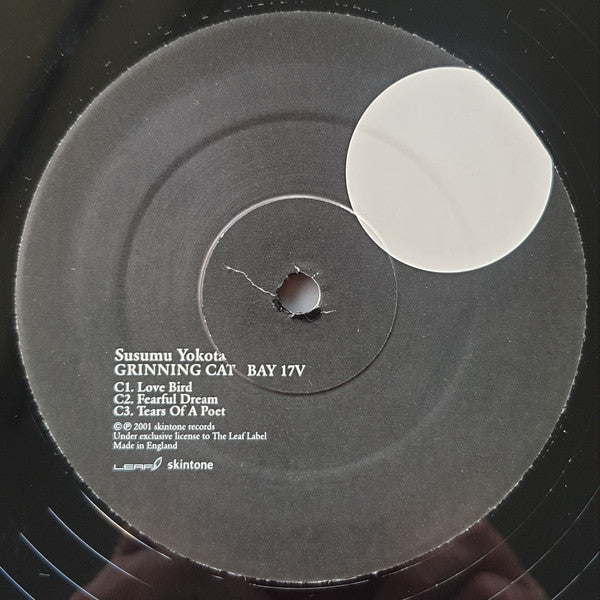 Susumu Yokota : Grinning Cat (2xLP, Album, Ltd)