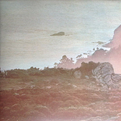 The Doobie Brothers : Stampede (LP, Album, Gat)