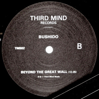 Bushido : Among The Ruins (12")