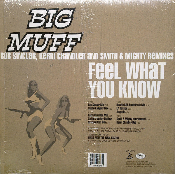 Big Muff : Feel What You Know (2x12")