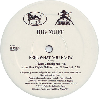 Big Muff : Feel What You Know (2x12")