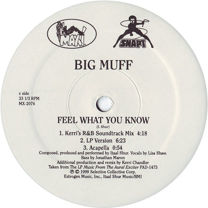 Big Muff : Feel What You Know (2x12")