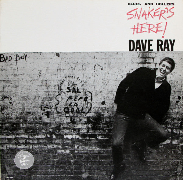 Dave Ray : Snaker's Here (LP, Album, Mono)