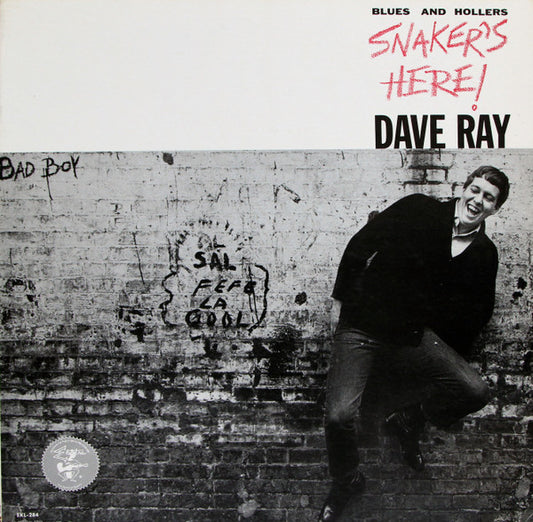 Dave Ray : Snaker's Here (LP, Album, Mono)