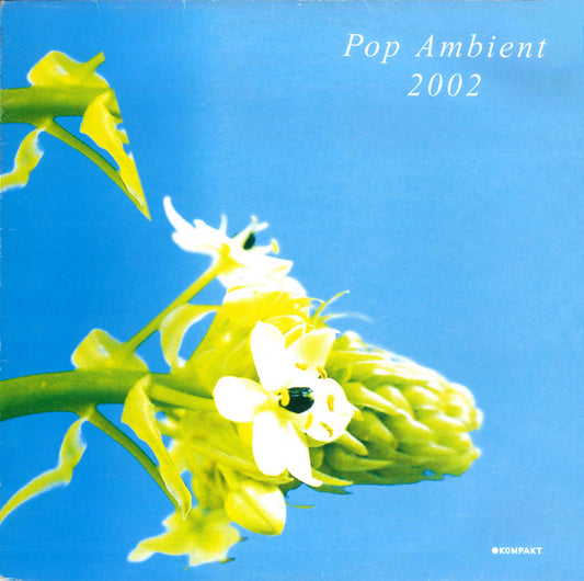 Various : Pop Ambient 2002 (LP, Comp)