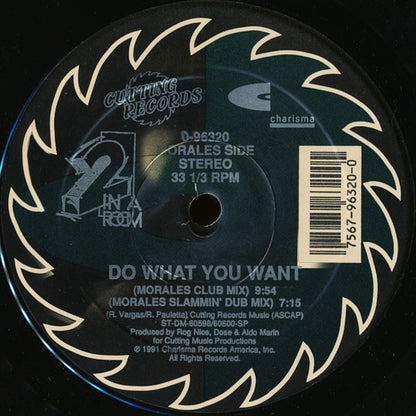 2 In A Room : Do What You Want (12")