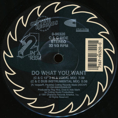 2 In A Room : Do What You Want (12")