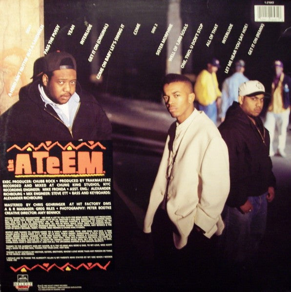 The A.T.E.E.M. : A Hero Ain't Nuttin' But A Sandwich (LP, Album)
