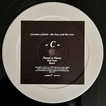 Susumu Yokota : The Boy And The Tree (2xLP, Album)
