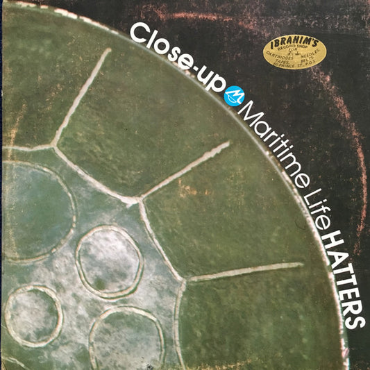 The Hatters Steel Orchestra : Close-Up (LP, Album)