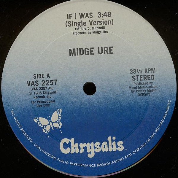 Midge Ure : If I Was (12", Promo)