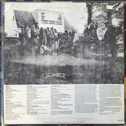 Bonnie Raitt : Bonnie Raitt (LP, Album, RE, RP, San)