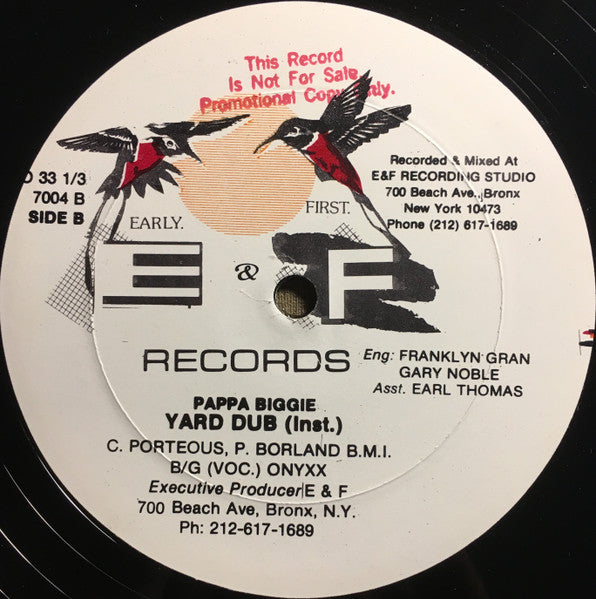 Papa Biggy : Back To Yard (12", Single, Promo)