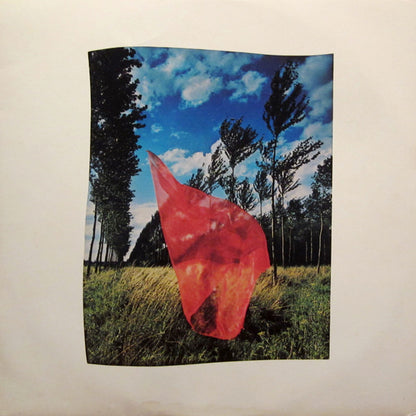 Pink Floyd : Wish You Were Here (LP, Album, San)