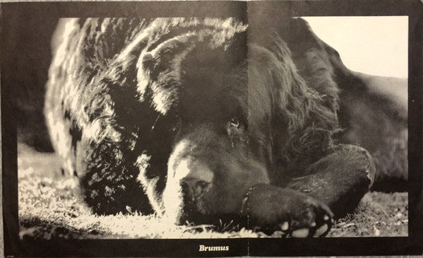 Jefferson Airplane : Crown Of Creation (LP, Album, RP, RCA)