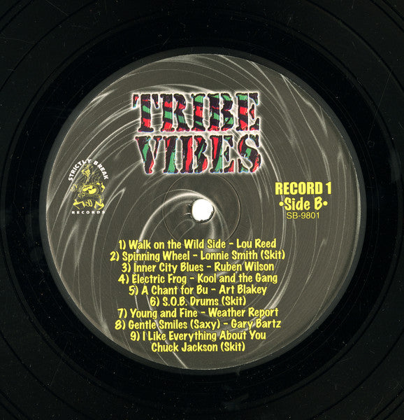 Various – Tribe Vibes Vol. 1