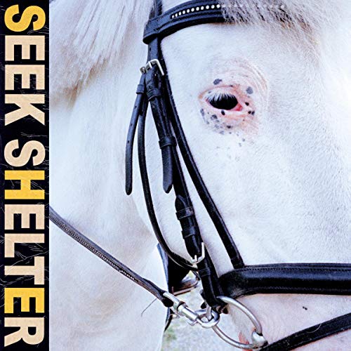 Iceage - Seek Shelter [LP]