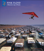 Pink Floyd - A Momentary Lapse Of Reason: Remixed & Updated (With Booklet)