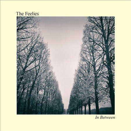 The Feelies - In Between (Digital Download Card)