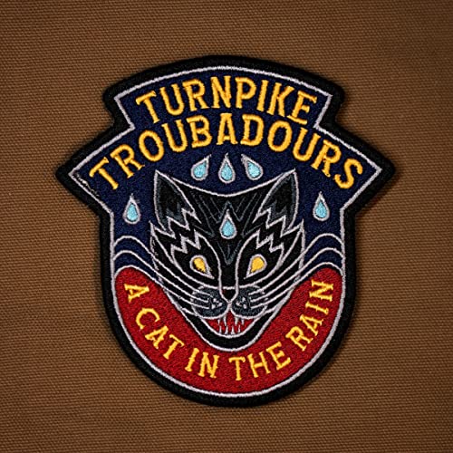 TURNPIKE TROUBADOURS - A Cat In The Rain