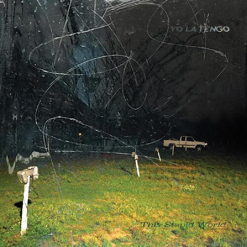 Yo La Tengo - This Stupid World (2 Lp's)