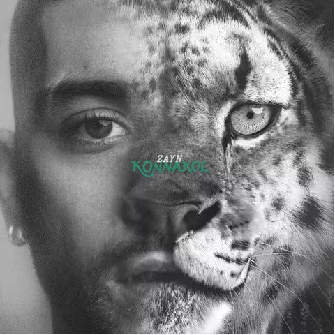 ZAYN - KONNAKOL (2026)