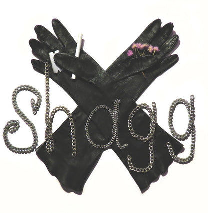 Shagg (3) : Shagg (LP, Ltd, Ins)