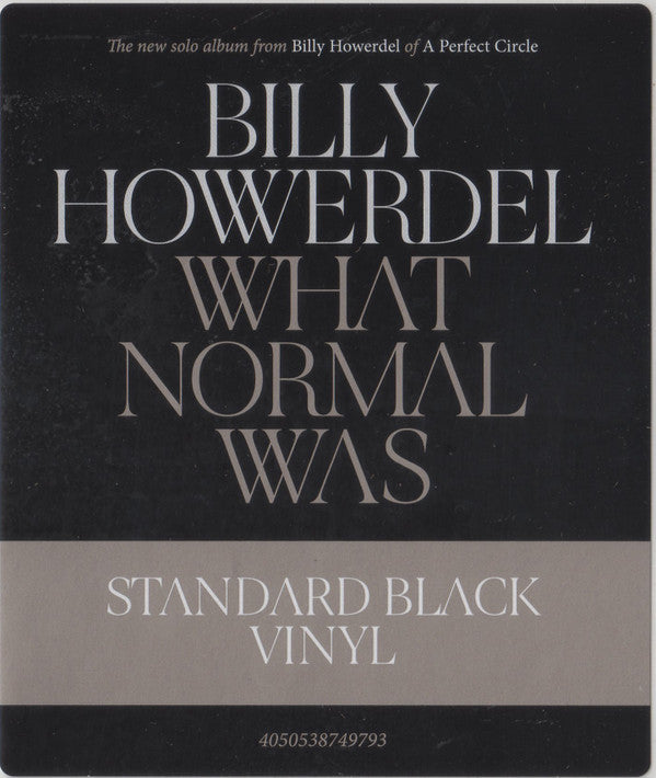 Billy Howerdel : What Normal Was (LP, Album)