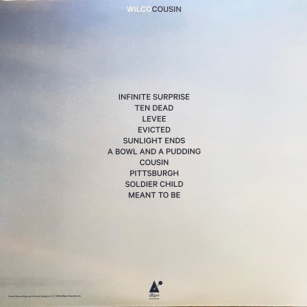 Wilco : Cousin (LP, Album)