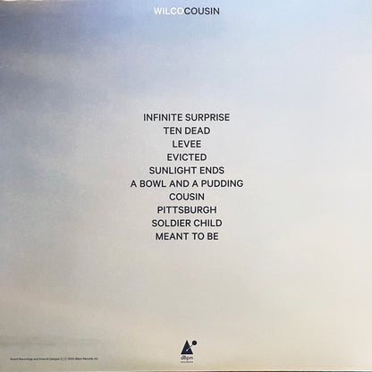 Wilco : Cousin (LP, Album)