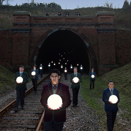 The Plea : The Dreamers Stadium (LP)